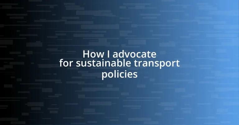 How I advocate for sustainable transport policies