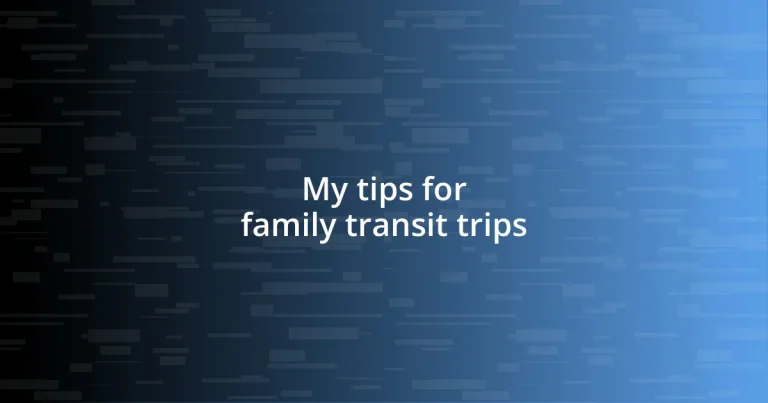 My tips for family transit trips