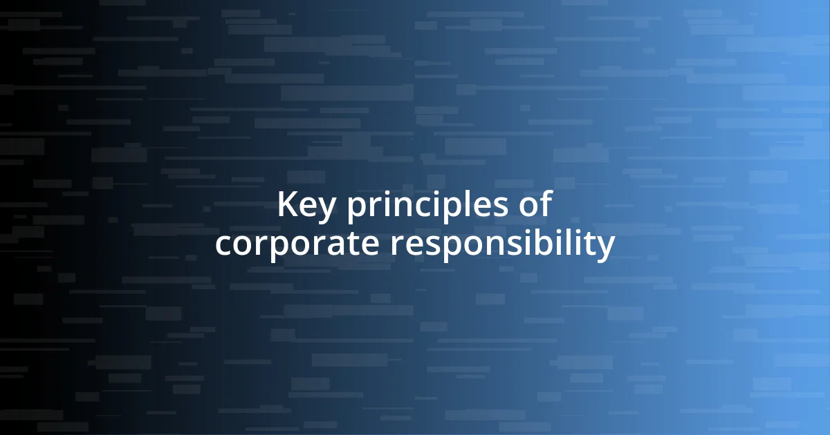 Key principles of corporate responsibility