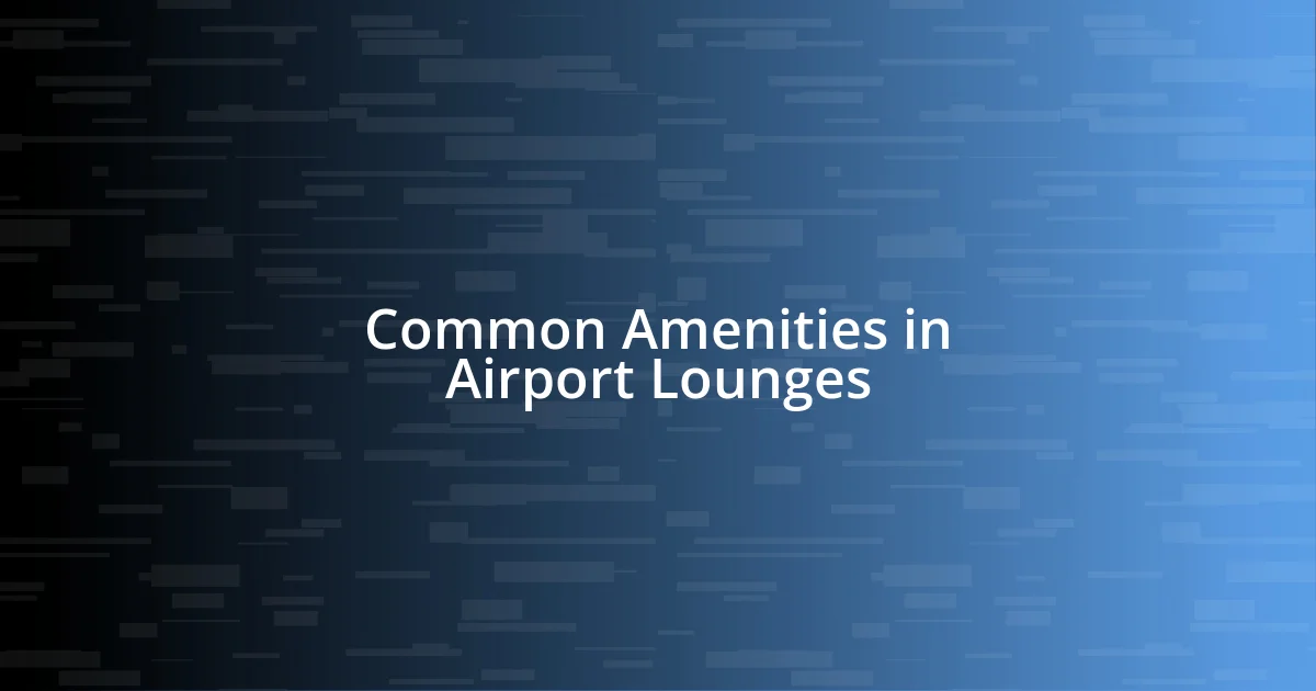 Common Amenities in Airport Lounges