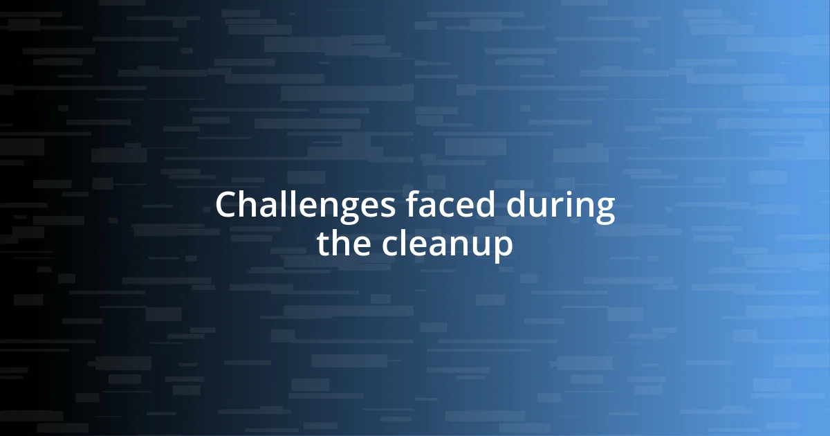 Challenges faced during the cleanup